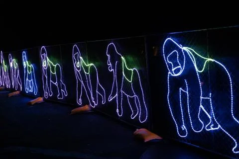 Light based monkey sequence Stock Photos