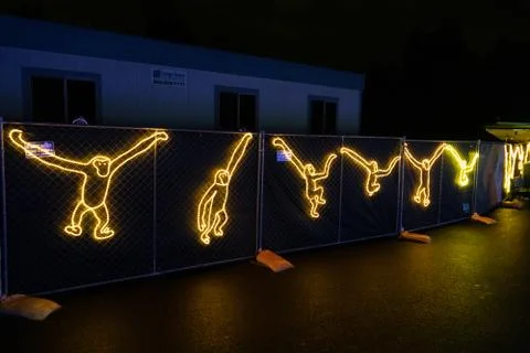 Light based monkey sequence Stock Photos