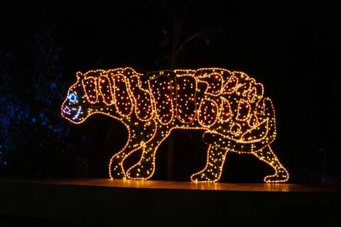 Light based tiger Stock Photos