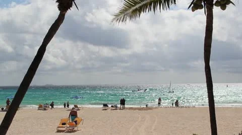 Light Beach with Palm Tree Video stock 10890131