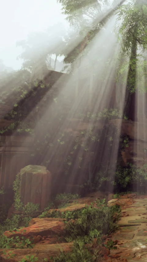 Light beams shine through trees in a forest clearing with rocky background Stock Footage 340652230