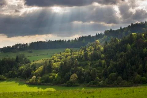 Light beams through clouds. Sun lit forest. Stock Photos