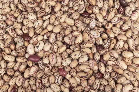 Light beans background 스톡 사진