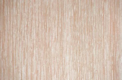 Light beech, vertical stripe pattern on natural wood cut. Stock Photos