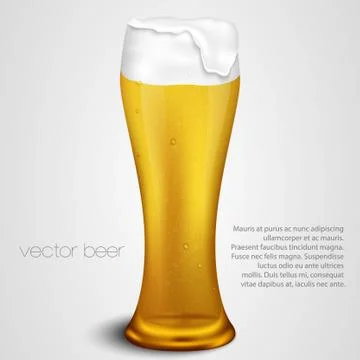 Light beer with the foam Stock Illustration