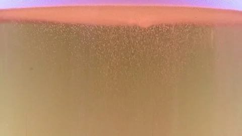 Light beer Stock-Footage 124115907