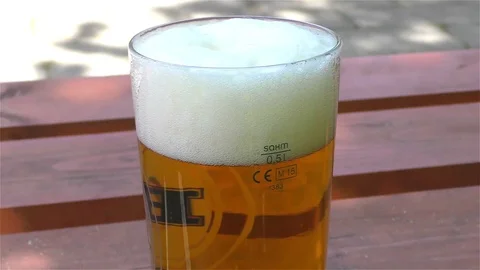 Light Beer in a Glass Video stock 75688491
