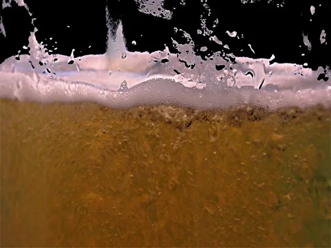 Light beer is poured in a glass Stock Footage 77568151