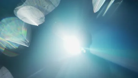 Light behind an unrecognizable man Video stock 216483265