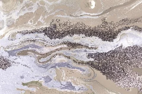 Light beige agate imitation pattern. Simple marble liquid texture. イラスト素材