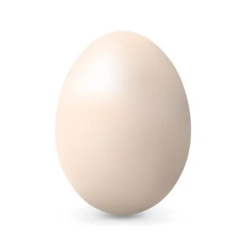 Light beige chicken egg Realistic and volumetric egg for easter 스톡 일러스트