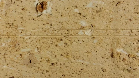 Light Beige Porous Masonry Surface Texture Stock Footage 346608050