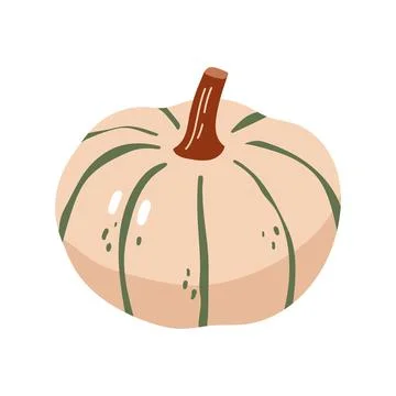 Light beige pumpkin vector illustration autumn decorative harvest vegetable Stock Illustration