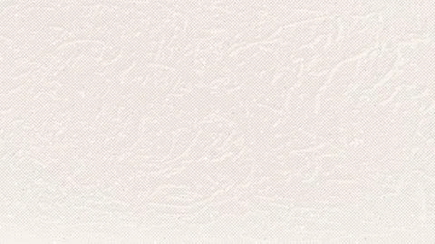 Light Beige rice paper texture. Washi eggshell background with grains, speckles 스톡 일러스트