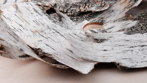 Light birch bark rotates. Stock Footage 198367084