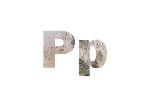 Light birch bark texture. Shot through the cut-out silhouette of the letter P Stock Illustration