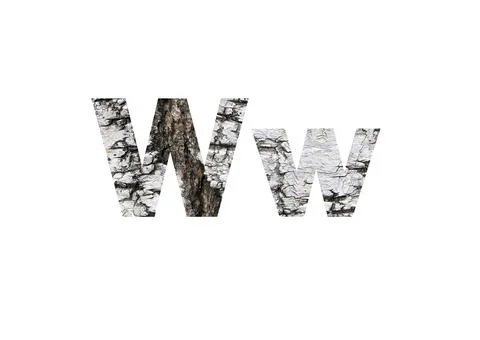 Light birch bark texture. Shot through the cut-out silhouette of the letter W Stock Photos