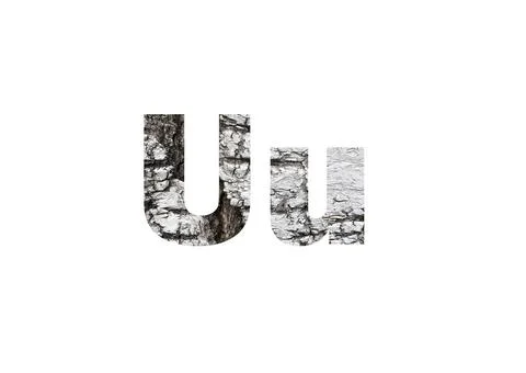 Light birch bark texture. Shot through the cut-out silhouette of the letter U Stock Photos