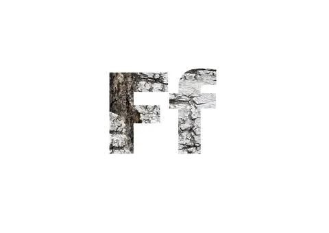 Light birch bark texture. Shot through the cut-out silhouette of the letter F Stock Photos