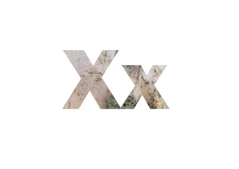 Light birch bark texture. Shot through the cut-out silhouette of the letter X Stock Photos