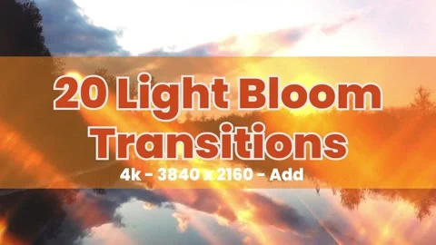 Light Bloom Transitions Stock After Effects