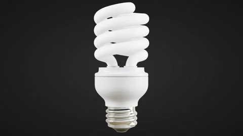 Light Blub Stock Footage 246046027
