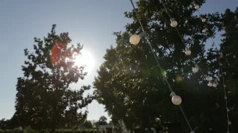 Light Blubs Stock Footage 11516421