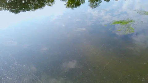 Light Blue And White Clouds Reflecting In Calm River Water With Shadow Tree Tops Stock Footage 200601197