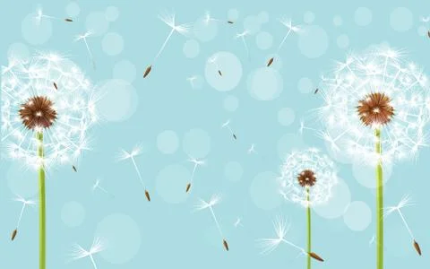 Light blue background, large white dandelions with flying seeds Stock Illustration