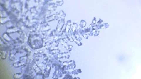 Light blue background with pattern of snowflake branches  rack focus 스톡 동영상 98495238