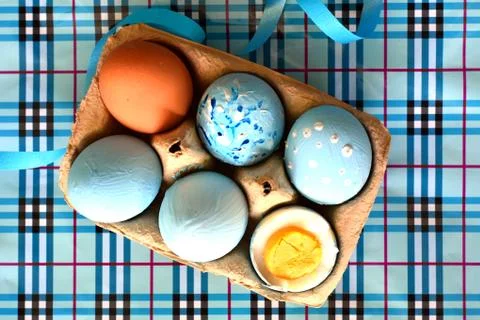 Light blue colored Easter eggs in a carton pack Photos