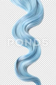 Light blue curly hair strand isolated, pastel hair extension or dye reference PSD Template