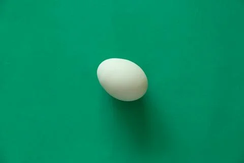 Light blue egg on green surface Stock Photos