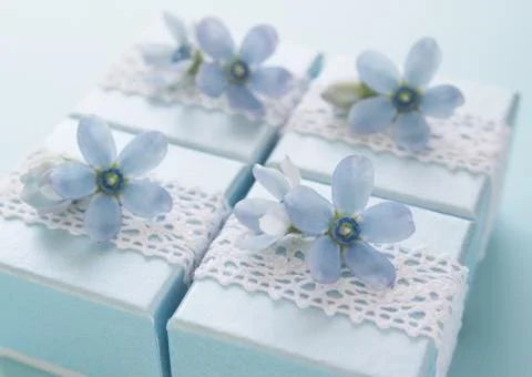 Light blue gift boxes Stock Photos