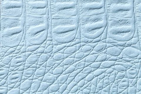 Light blue leather texture background, closeup. Reptile skin, macro. 스톡 사진
