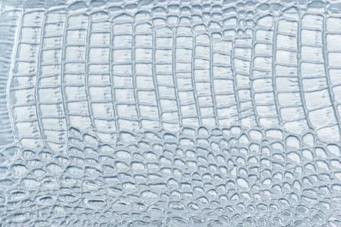 Light blue leather texture background, closeup. Reptile skin, macro. Stock Photos