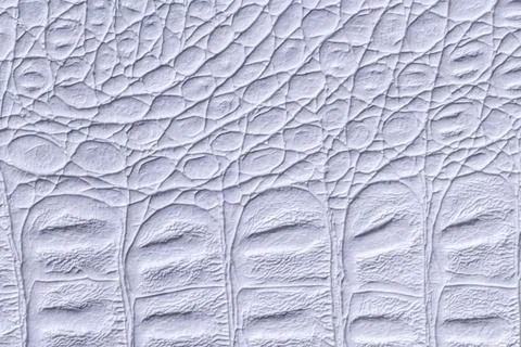 Light blue leather texture background, closeup. Gray reptile skin, macro. 写真素材