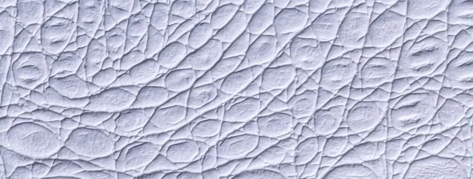 Light blue leather texture background, closeup. Gray reptile skin, macro. 写真素材