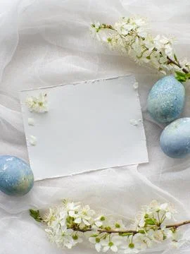 Light blue painted easter eggs on white background with copy space Stock Photos