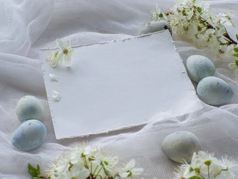 Light blue painted easter eggs on white background with copy space Stock Photos