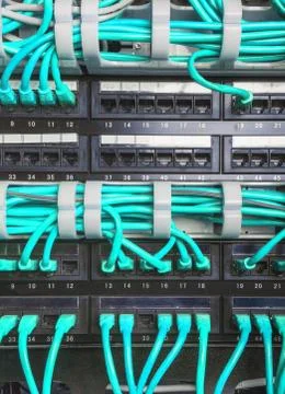 Light blue patch cord internet cables Fotos de archivo