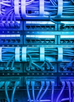 Light blue patch cord internet cables Stock Photos