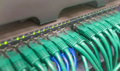 Light blue patch cord internet cables Stock Photos