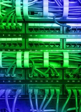 Light blue patch cord internet cables Fotos de archivo