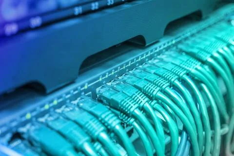 Light blue patch cord internet cables Stock Photos