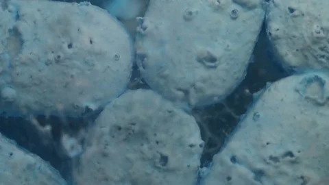 Light Blue Pills Dissolving Macro Stock Footage 75795974