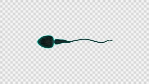 Light Blue Sperm Cell with Mottled Head and Smooth Tail V1 Stock Footage 308229119