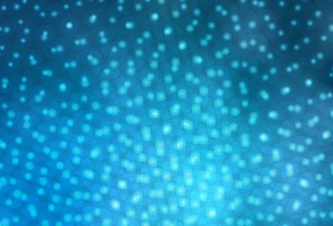 Light BLUE vector background with bubbles. Stock Illustration