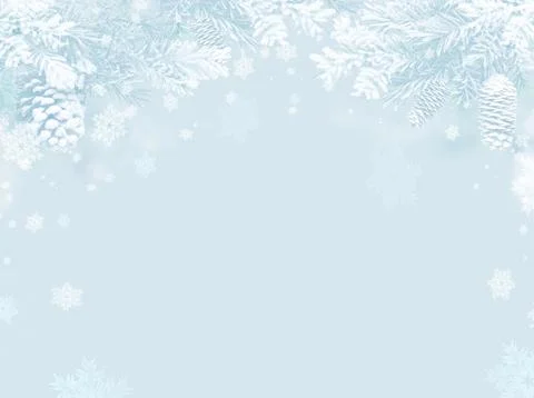 Light blue winter background framed with snowy pine branches and white pine.. Stock Photos