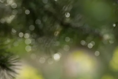 Light blur backround Stock Photos